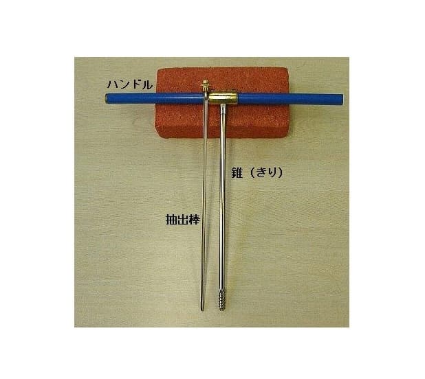 成長錐(CUP-IBR)